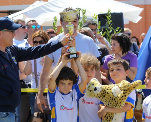 roma rugby mini cup